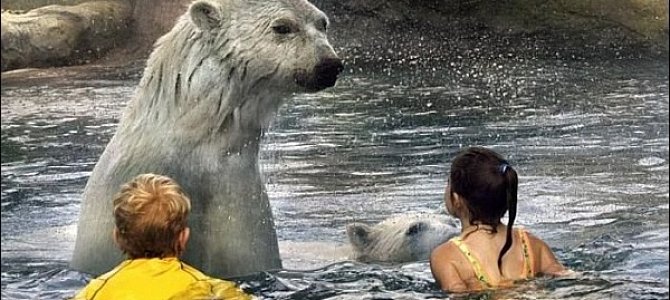 Лучшие зоопарки с медведями Лучшие зоопарки с медведями