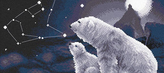 Медведи ночью Медведи ночью