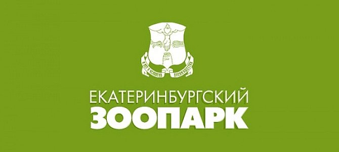 Медведи Екатеринбургского зоопарка