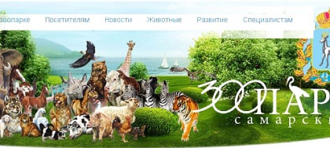 Медведи самарского зоопарка Медведи самарского зоопарка