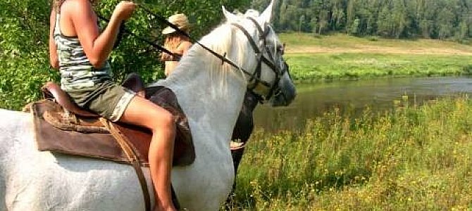 Отдых в Новгородской области Отдых в Новгородской области