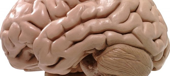 Ишемия мозга - приговор или диагноз