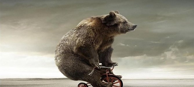 Мифы и правда о цирковых медведях Мифы и правда о цирковых медведях