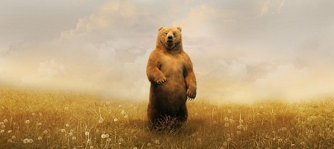 Действия при встрече с медведем Действия при встрече с медведем