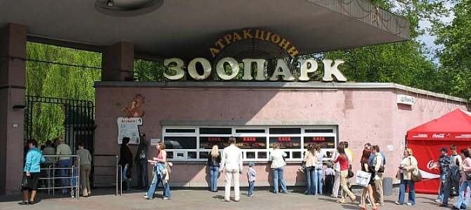 Медведи Киевского зоопарка Медведи Киевского зоопарка
