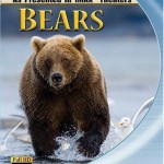 IMAX Bears