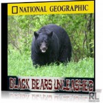 Черные медведи Тайваня / Black bears unleashed