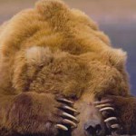 Медвежья спячка