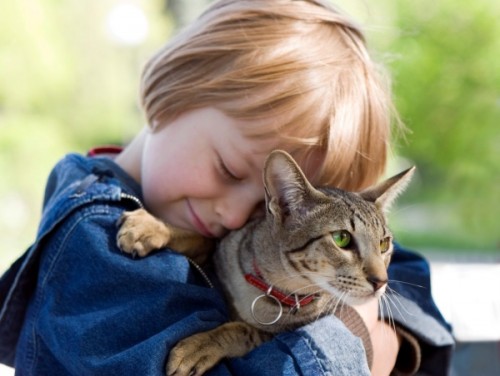 Влияние животных в воспитании детей (2)